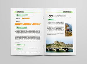 旅游開(kāi)發(fā)項(xiàng)目畫(huà)冊(cè)設(shè)計(jì)招標(biāo)與策劃咨詢方案